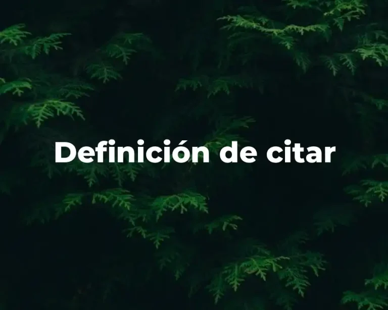Definición de citar