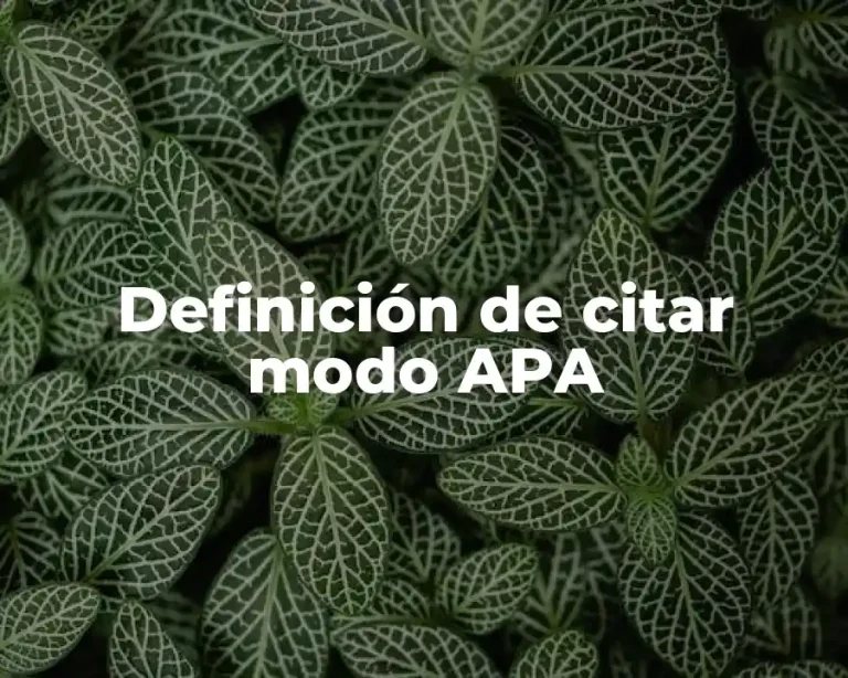 Definición de citar modo APA