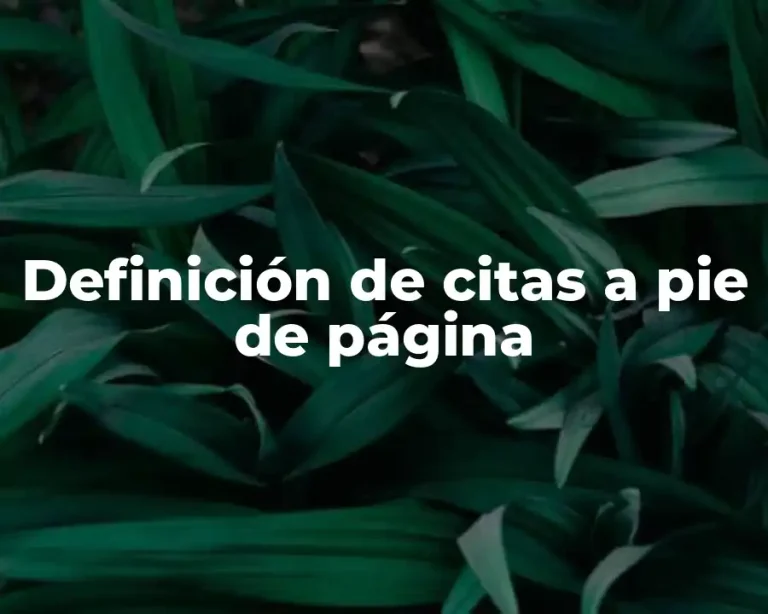 Definición de citas a pie de página