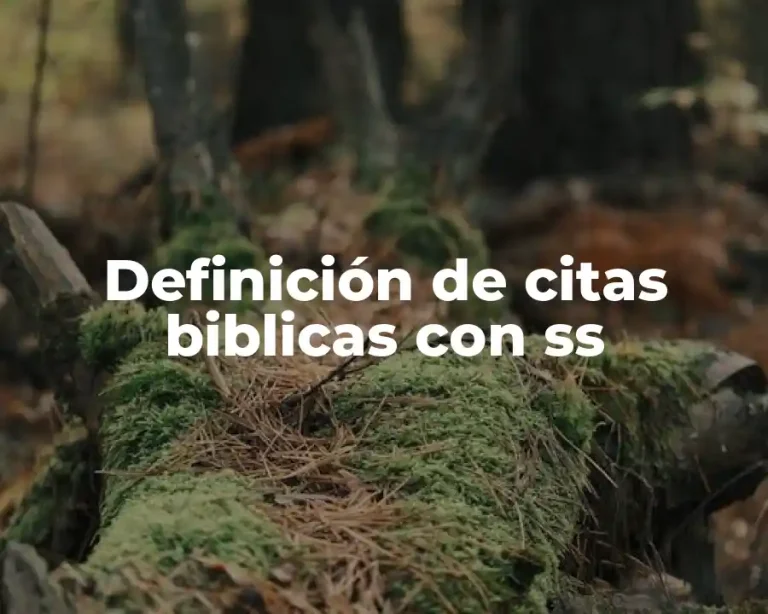 Definición de citas biblicas con ss