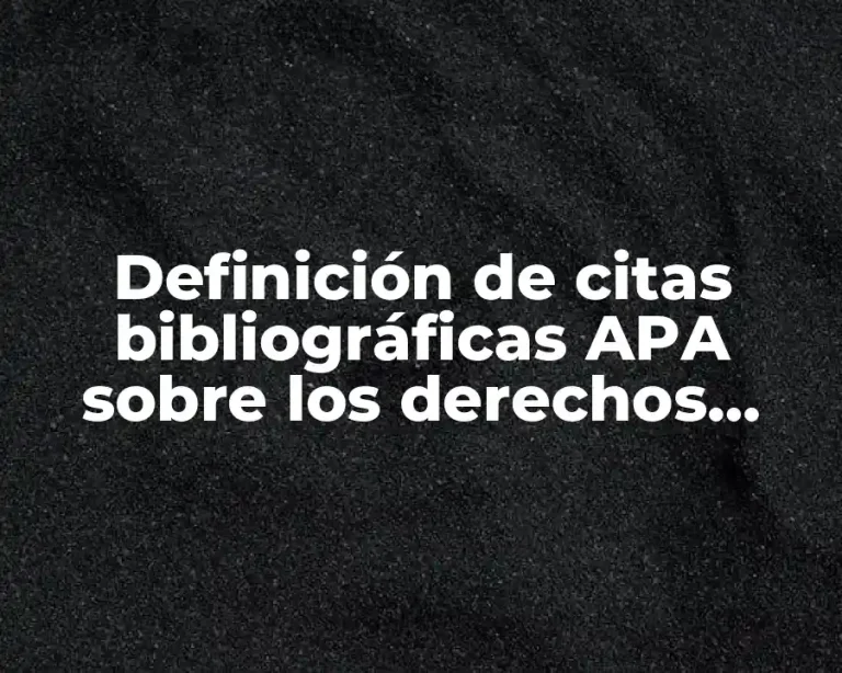 Definición de citas bibliográficas APA sobre los derechos humanos
