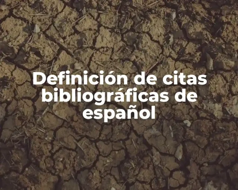 Definición de citas bibliográficas de español