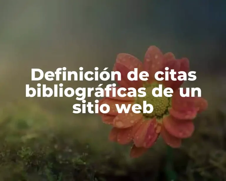 Definición de citas bibliográficas de un sitio web
