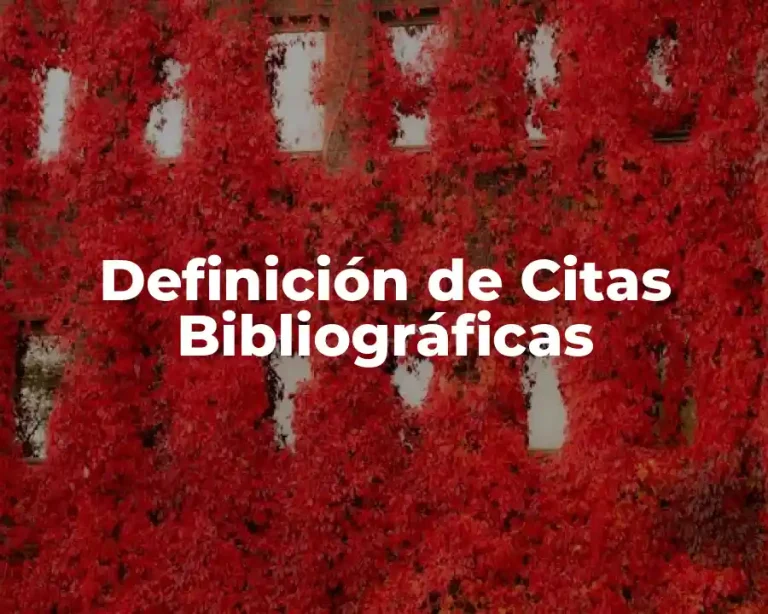 Definición de Citas Bibliográficas