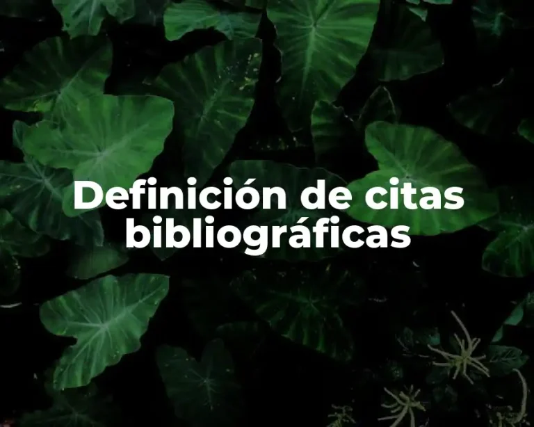 Definición de citas bibliográficas
