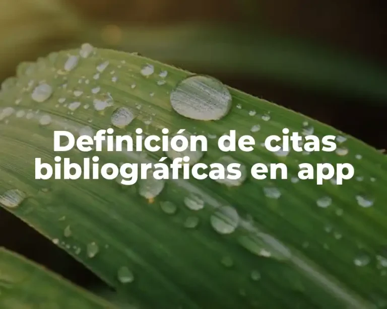 Definición de citas bibliográficas en app