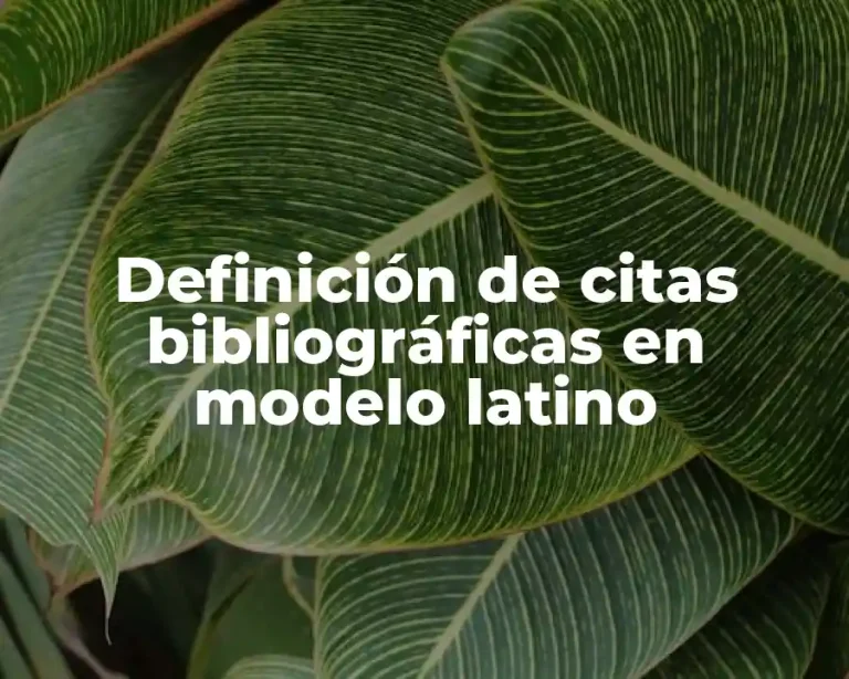 Definición de citas bibliográficas en modelo latino