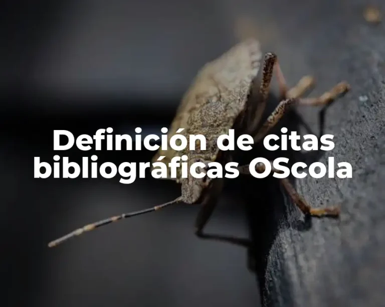 Definición de citas bibliográficas OScola
