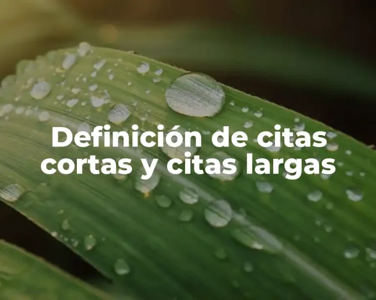 Definición de citas cortas y citas largas