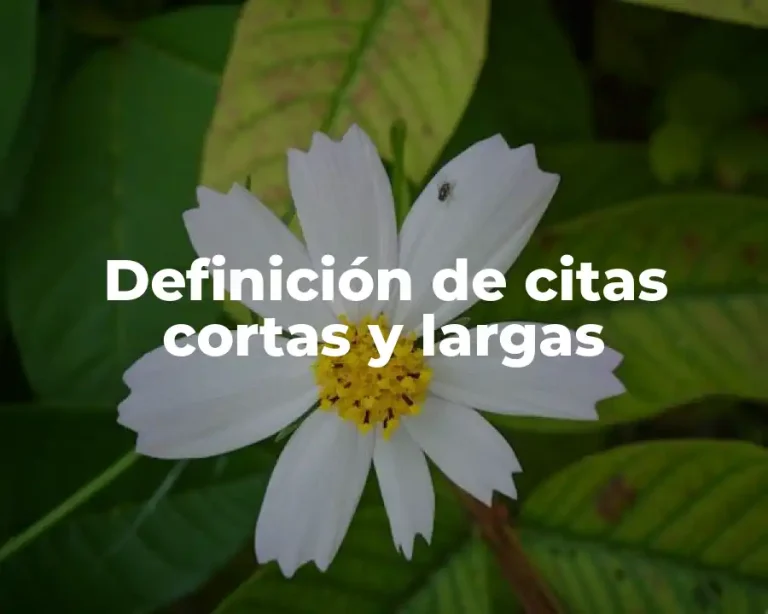 Definición de citas cortas y largas