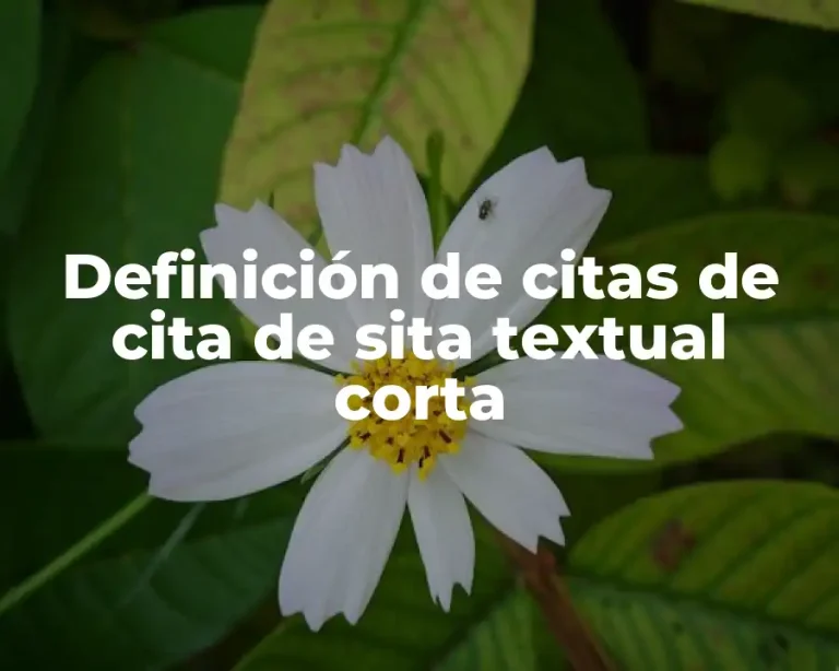 Definición de citas de cita de sita textual corta