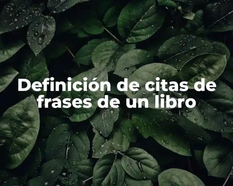 Definición de citas de frases de un libro