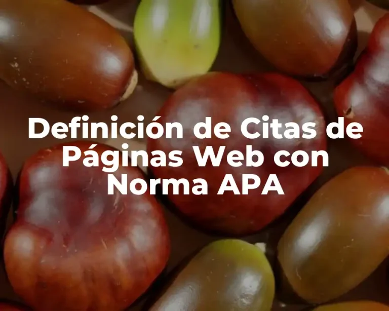 Definición de Citas de Páginas Web con Norma APA