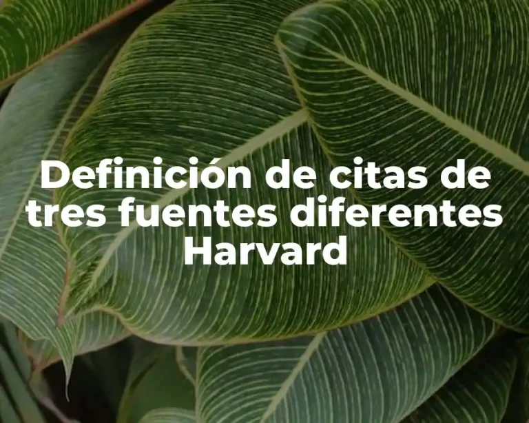 Definición de citas de tres fuentes diferentes Harvard