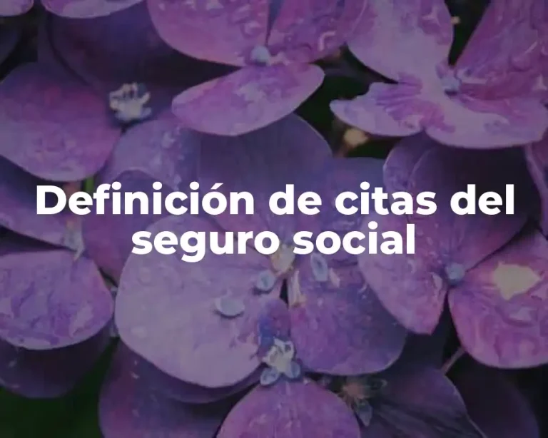 Definición de citas del seguro social