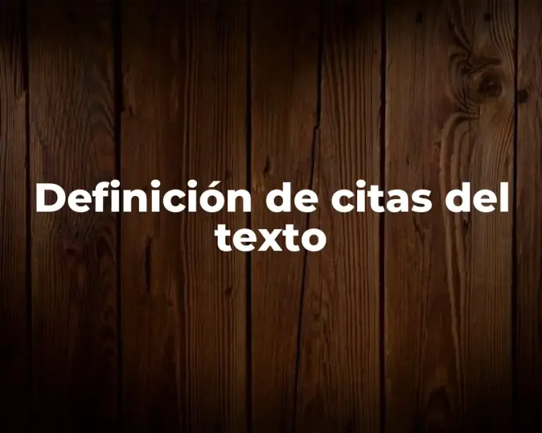 Definición de citas del texto
