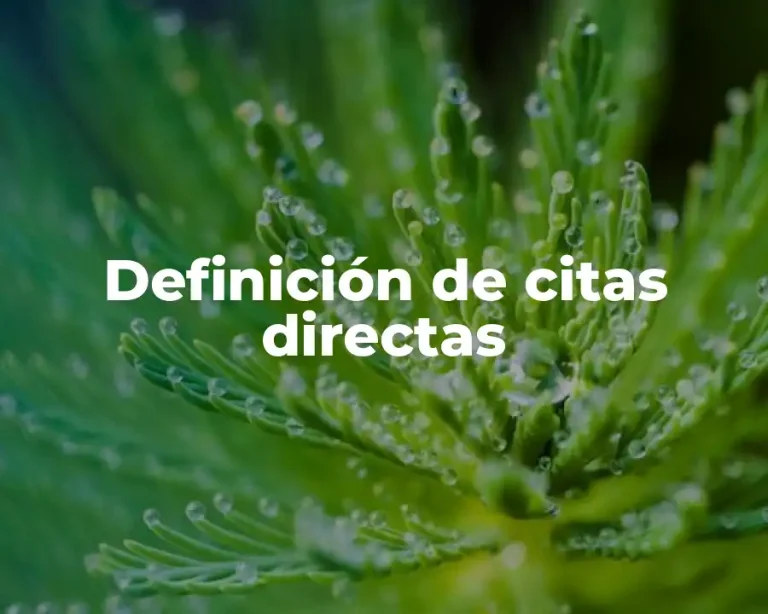 Definición de citas directas