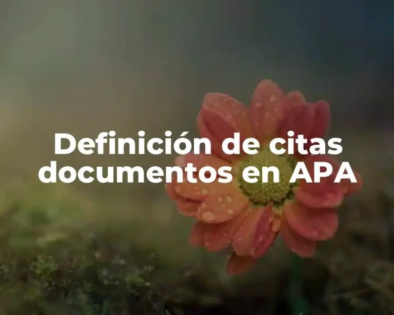 Definición de citas documentos en APA