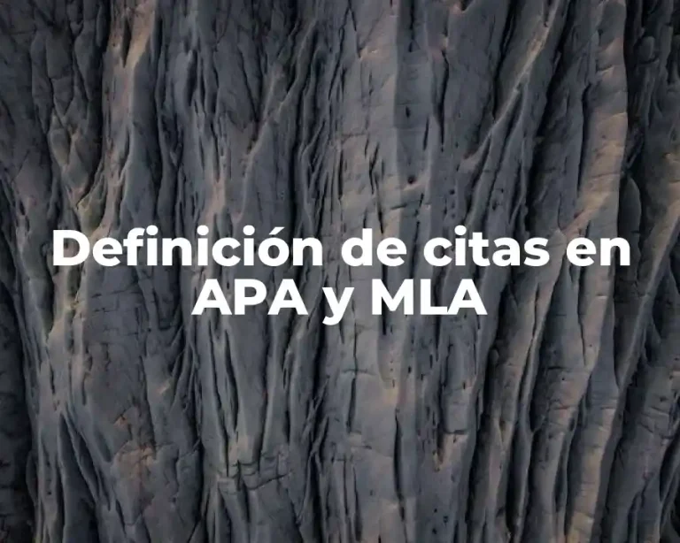 Definición de citas en APA y MLA