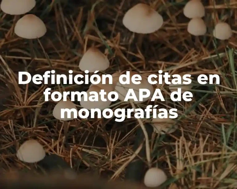 Definición de citas en formato APA de monografías