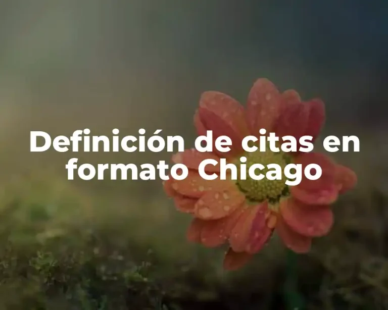 Definición de citas en formato Chicago