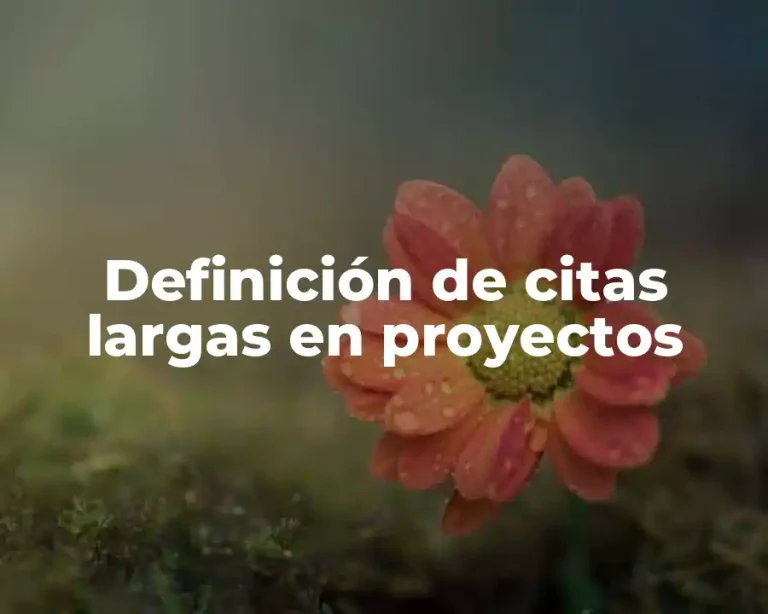 Definición de citas largas en proyectos