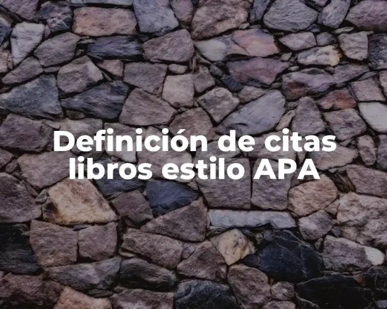 Definición de citas libros estilo APA