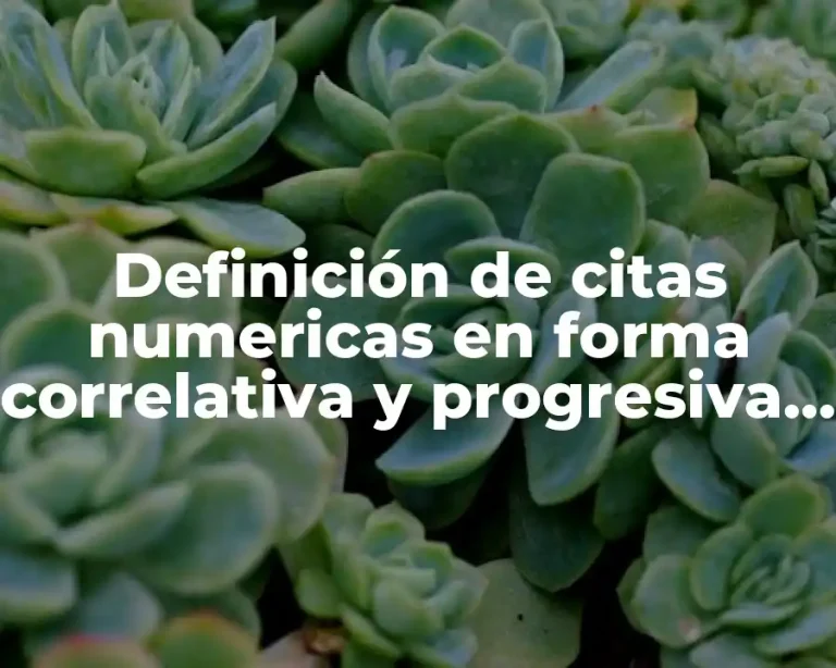 Definición de citas numericas en forma correlativa y progresiva Vancouver