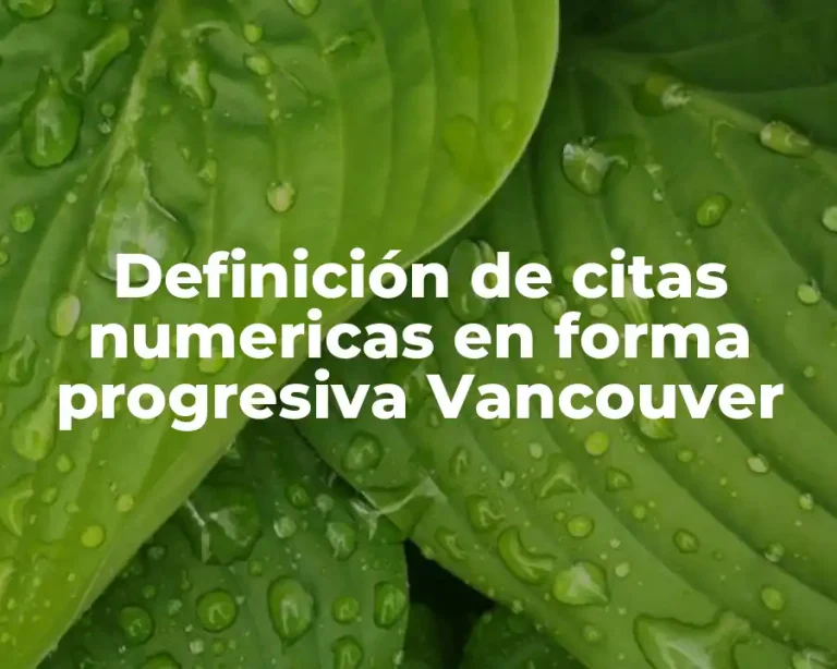 Definición de citas numericas en forma progresiva Vancouver