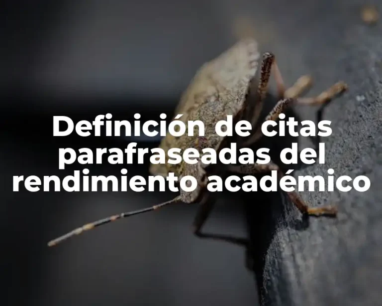 Definición de citas parafraseadas del rendimiento académico
