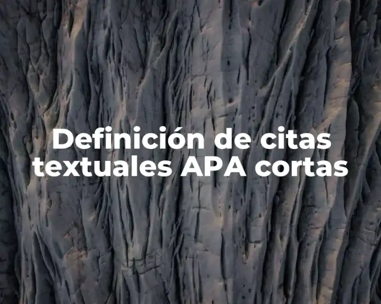 Definición de citas textuales APA cortas