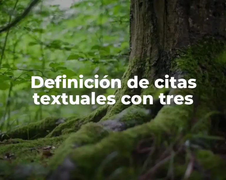Definición de citas textuales con tres