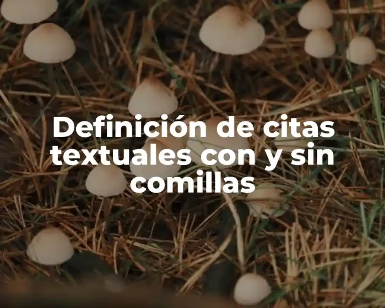 Definición de citas textuales con y sin comillas