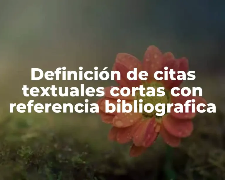 Definición de citas textuales cortas con referencia bibliografica