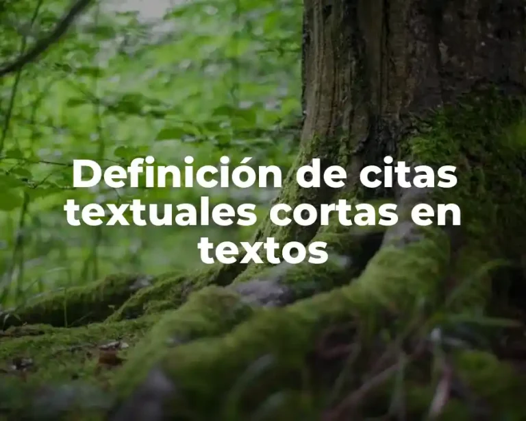 Definición de citas textuales cortas en textos