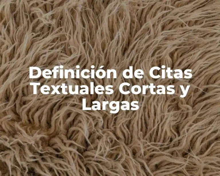 Definición de Citas Textuales Cortas y Largas