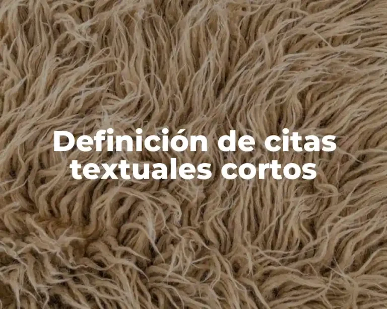 Definición de citas textuales cortos