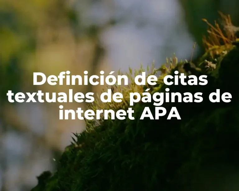 Definición de citas textuales de páginas de internet APA