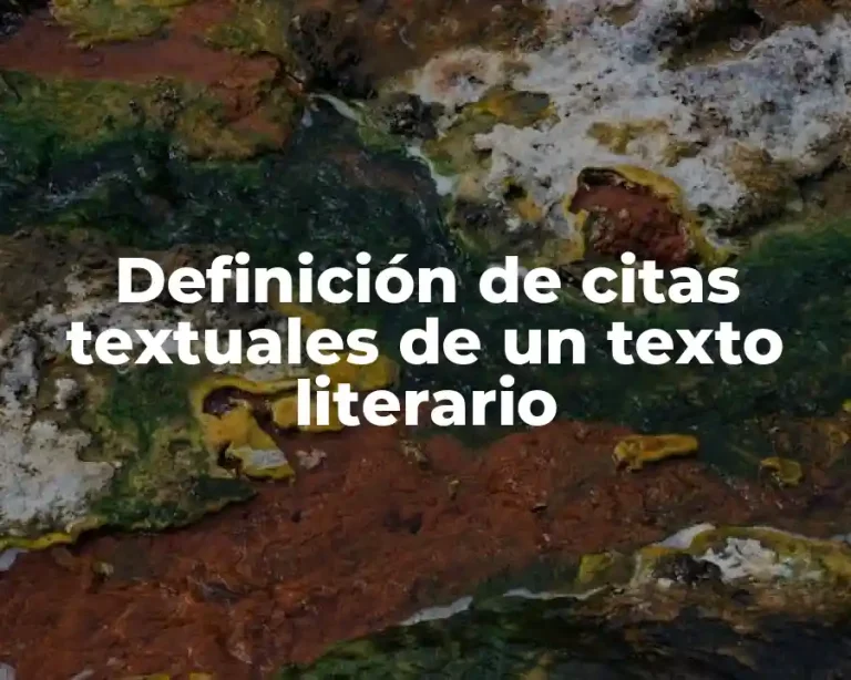 Definición de citas textuales de un texto literario