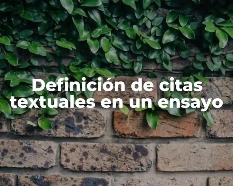 Definición de citas textuales en un ensayo