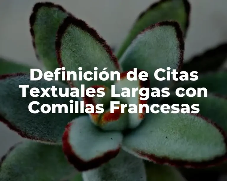 Definición de Citas Textuales Largas con Comillas Francesas