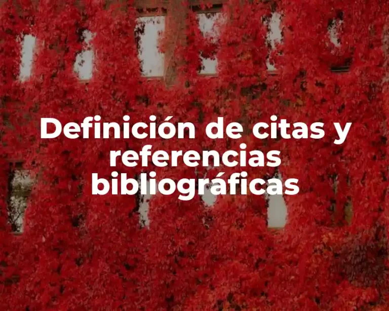 Definición de citas y referencias bibliográficas