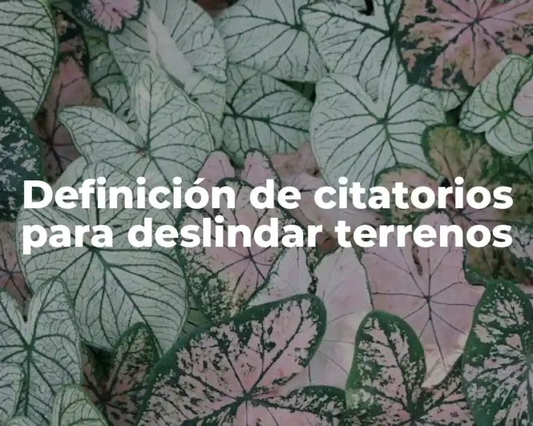 Definición de citatorios para deslindar terrenos