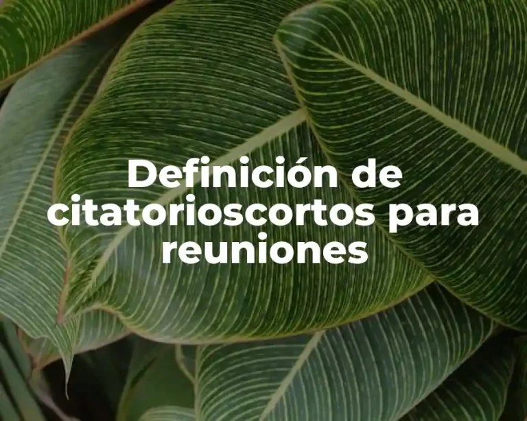 Definición de citatorioscortos para reuniones