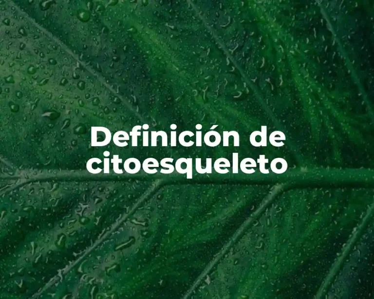Definición de citoesqueleto