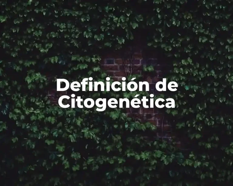 Definición de Citogenética