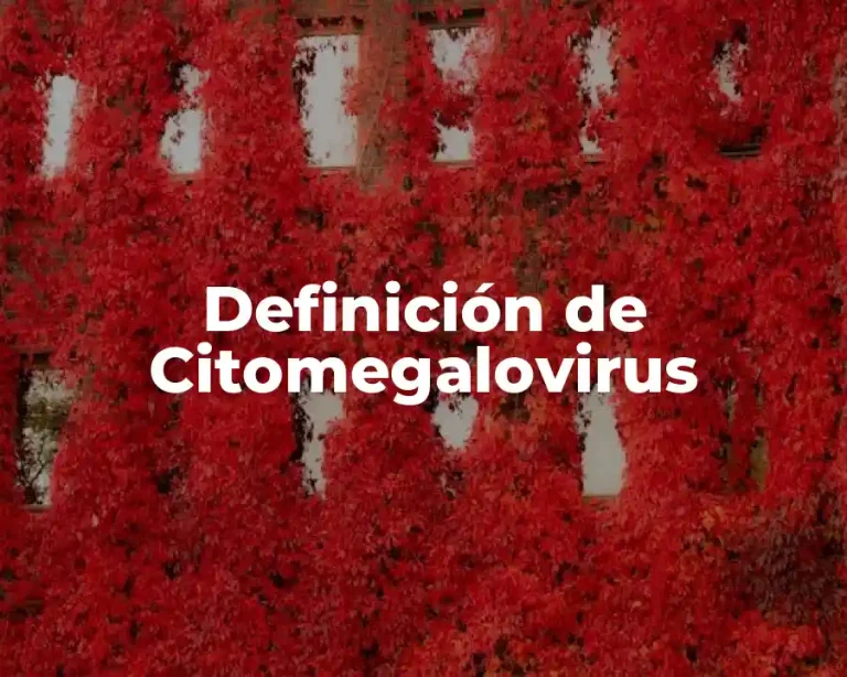 Definición de Citomegalovirus