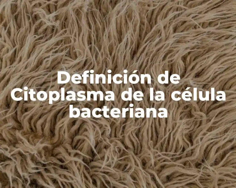 Definición de Citoplasma de la célula bacteriana