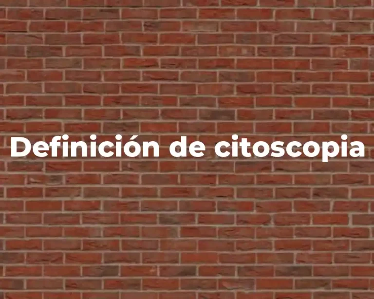 Definición de citoscopia