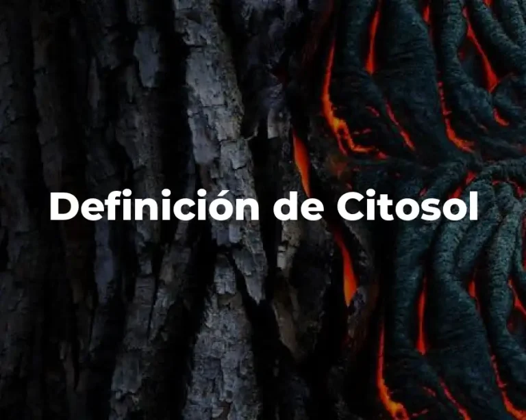 Definición de Citosol